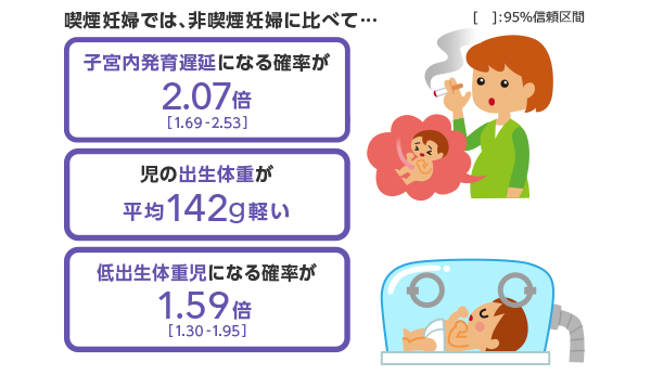 喫煙妊婦では、非喫煙妊婦に比べて 子宮内発育遅延になる確率が2.07倍※ 児の出生体重が平均142g軽い※ 低出生体重児になる確率が1.59倍※